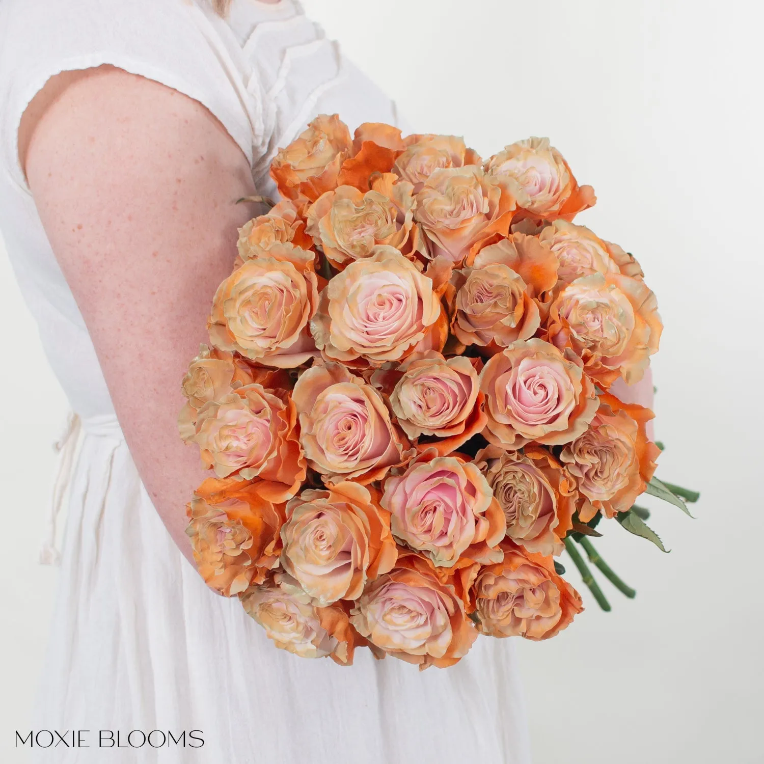 Creamsicle Novelty Roses