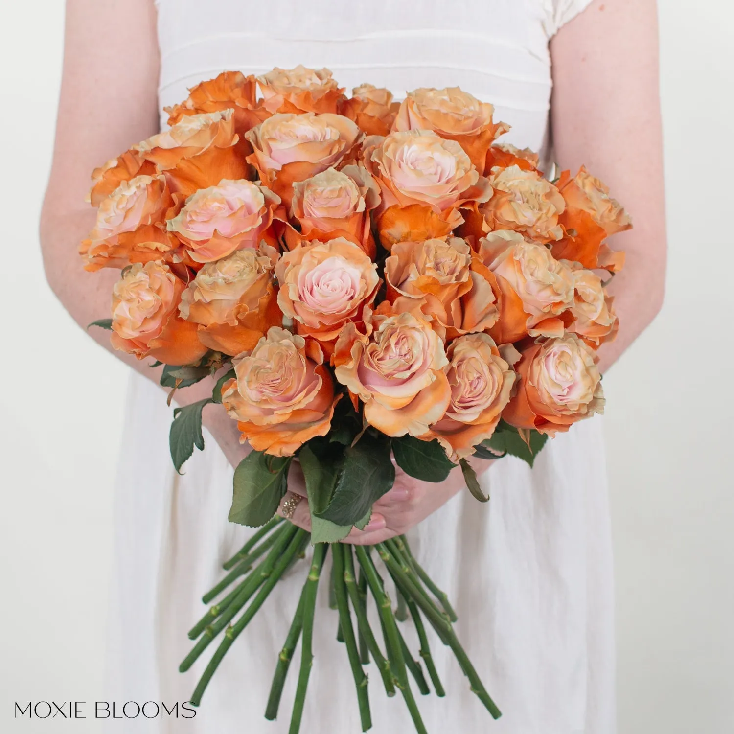 Creamsicle Novelty Roses