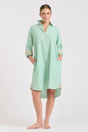 The Classic Shirtdress